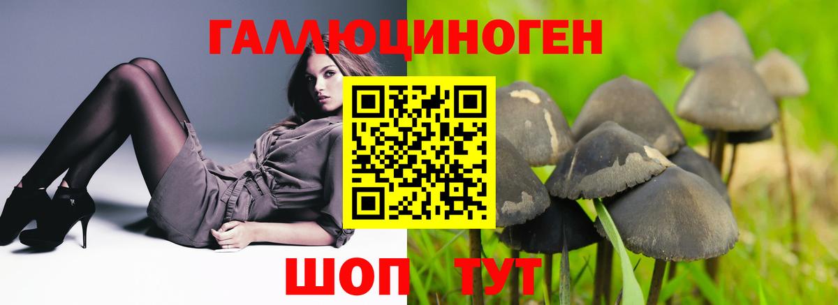 Печора  Псилоцибиновые грибы Psilocybe  Вход с VPN 